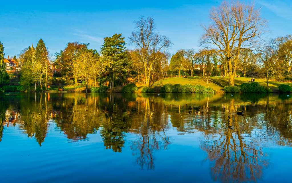 A photograph of a lake surrounded by trees reflected in the water