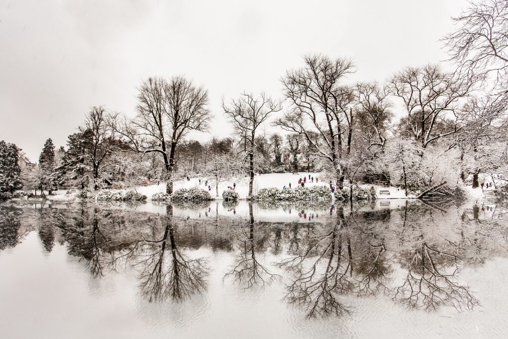 A photo of the pool at Moseley Park and Pool in the snow, showing silhouetted bare trees reflected in the pool and distant figures sledging down the hill