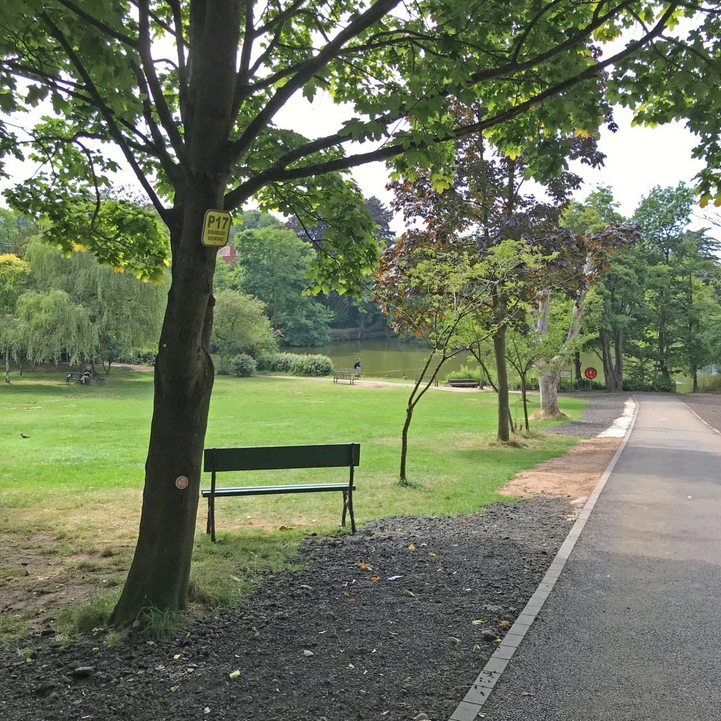 A photo of a footpath sloping downhill towards a lake with lots of trees and a bench