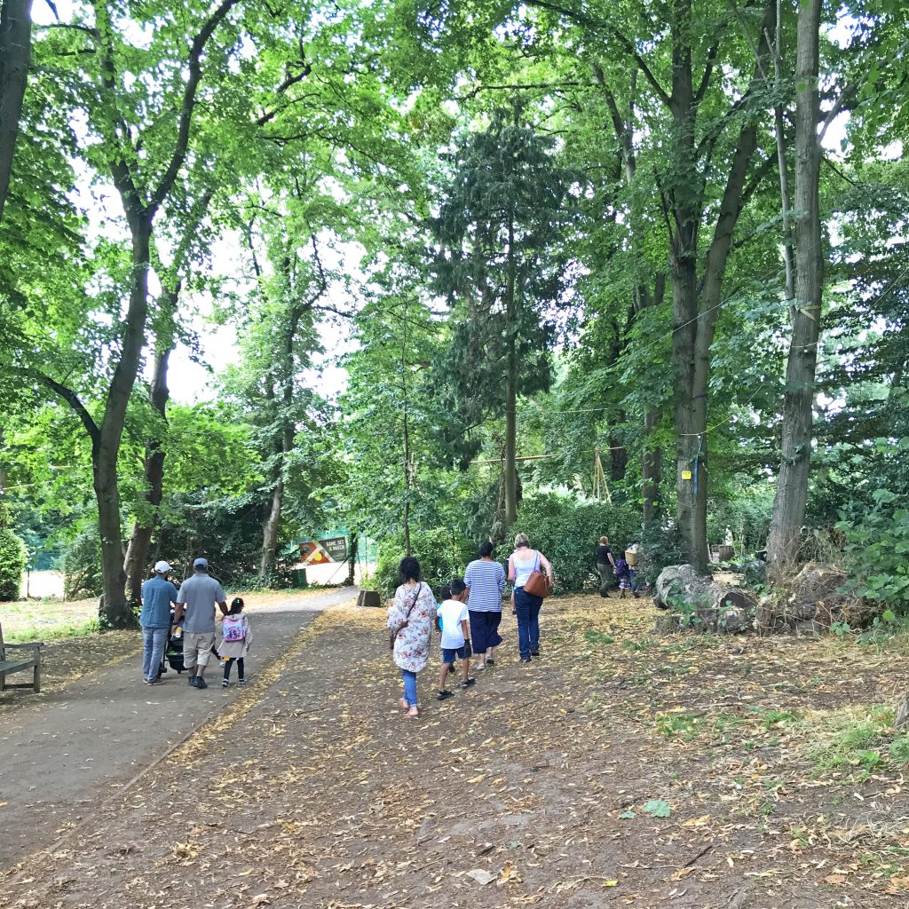 A photo of some families with children walking into the park under a tall canopy of green trees