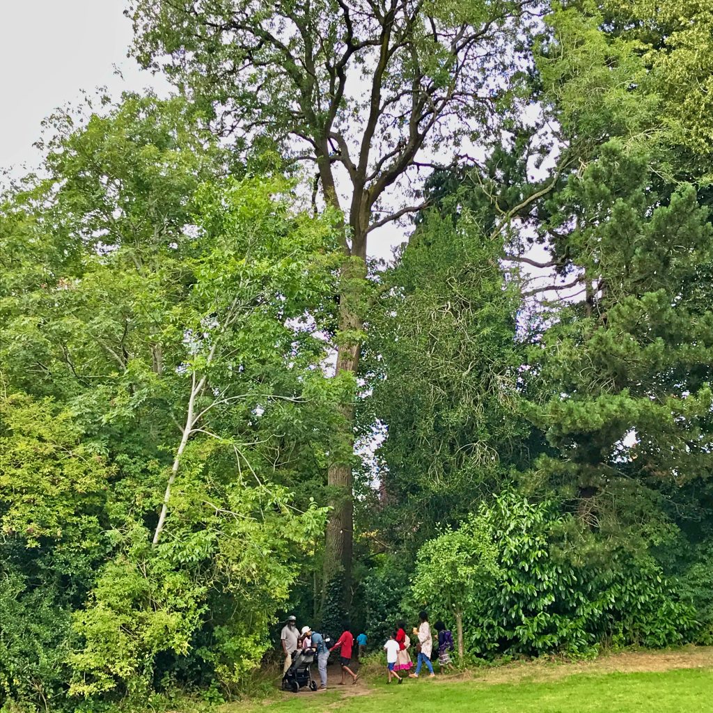 A photo of a group of people walking into a woodland pathway from a meadow