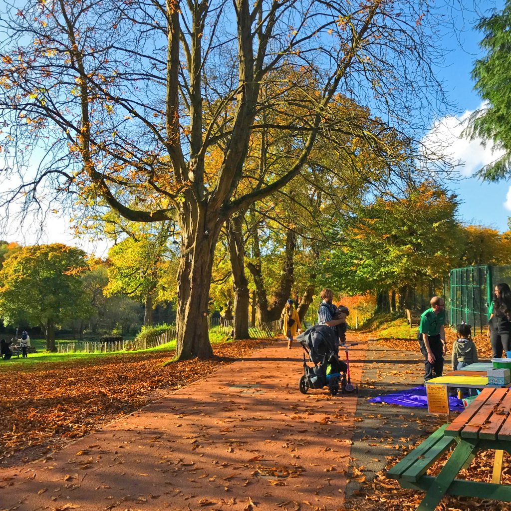 A photo of an avenue lined with autumn trees, a meadow covered in red leaves, and people enjoying the sunschine