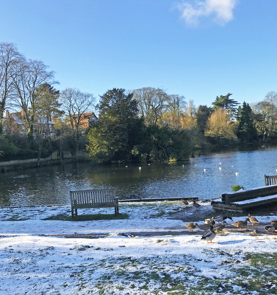 A photo of the pool with snow along the banks, with tall trees and Victorian houses visible on the other side