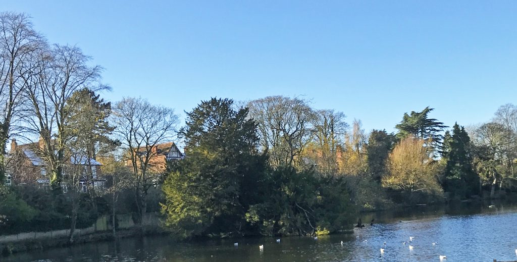 A photo of the lake showing winter trees a victorian houses along one side